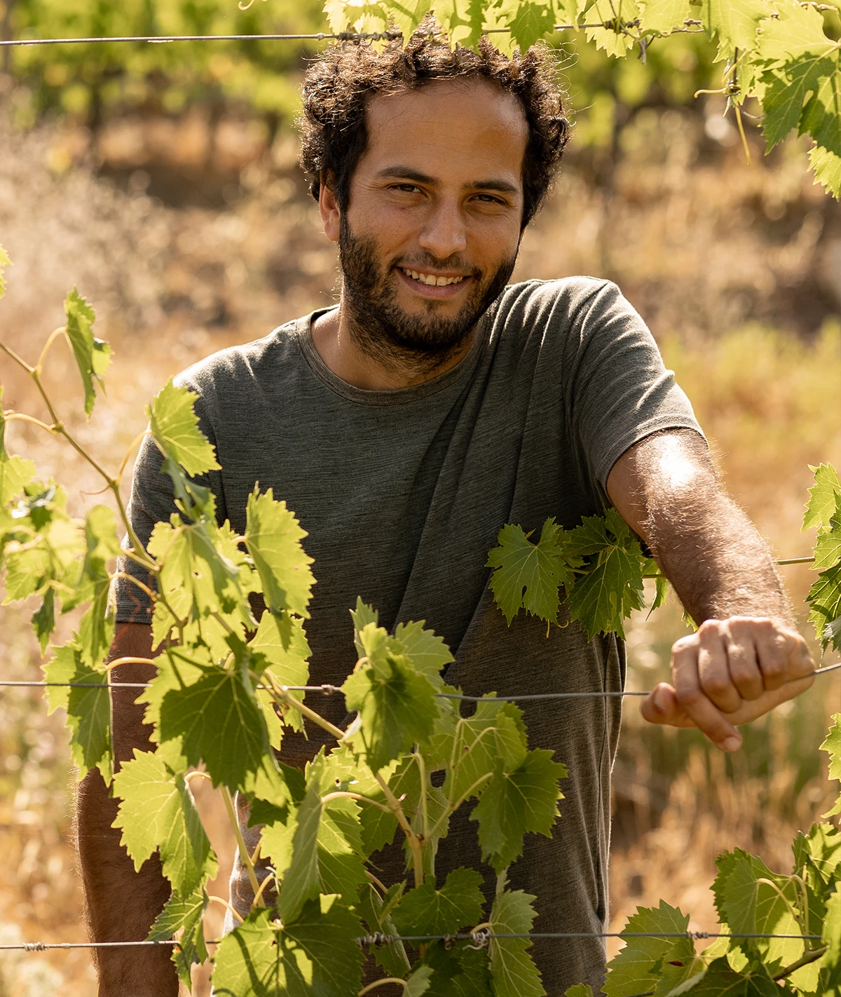 francesco-terre-nere-montalcino