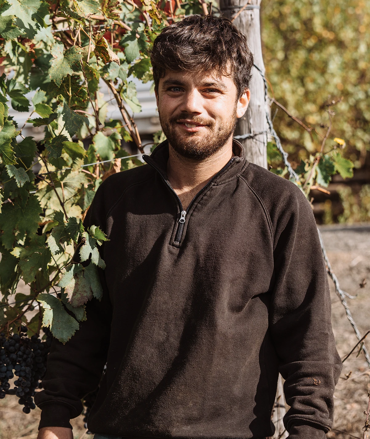 niccolo-terre-nere-montalcino